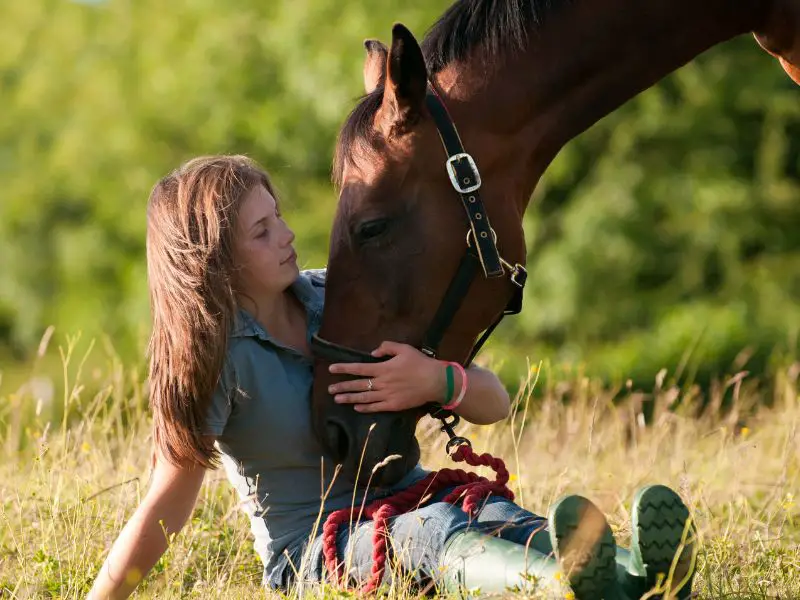 Signs a horse trusts you