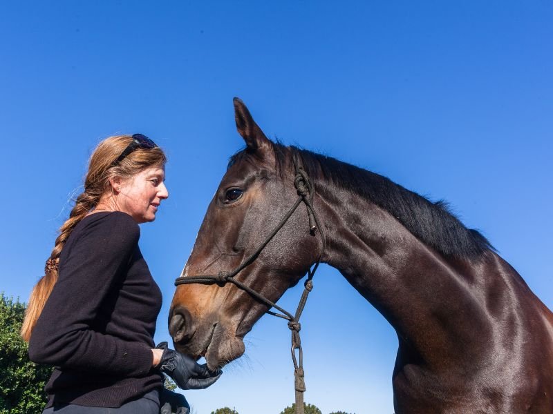 How to Earn a Horse's Trust