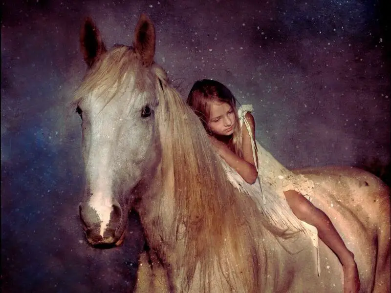 young girl sitting on a beautiful white horse in the cosmos dreaming. horse dream meaning