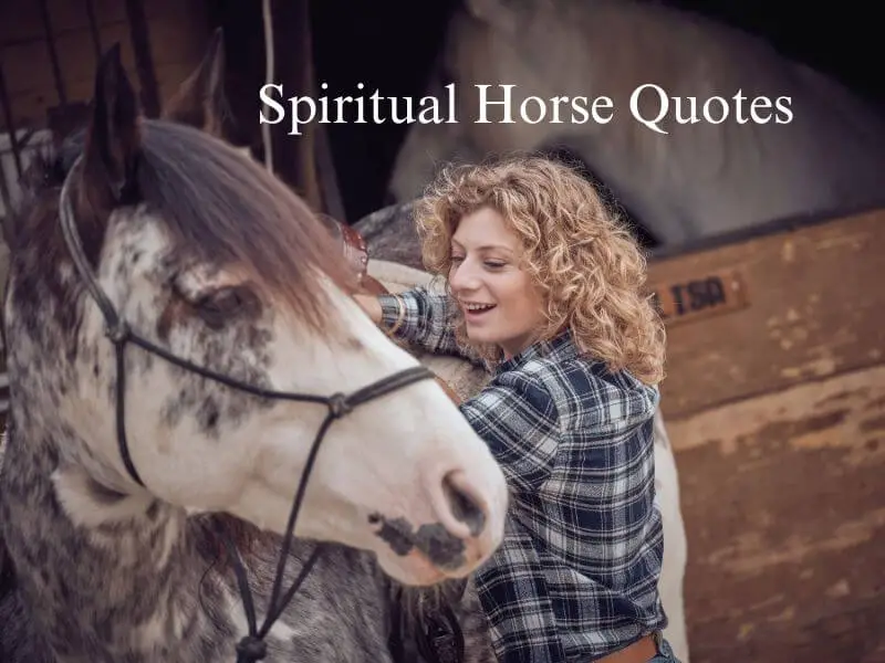 Spiritual Horse Quotes. Horse and girl happy together