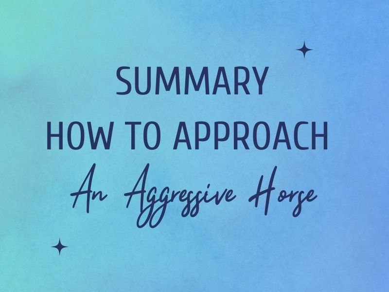 Summary How to Approach An Aggressive Horse