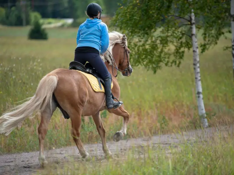 Benefits Of Horse Riding While Pregnant