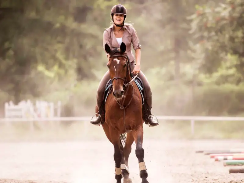 Can You Horse Ride In Early Pregnancy?