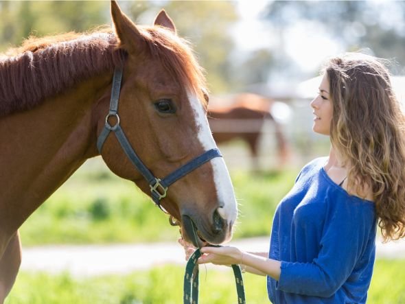 How to name your horse