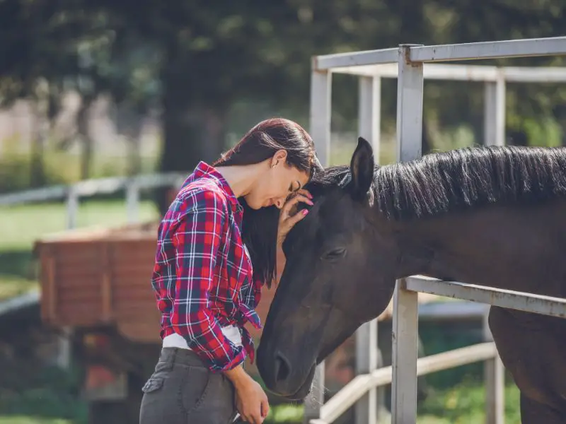 When Should I Stop Riding When I Am Pregnant?