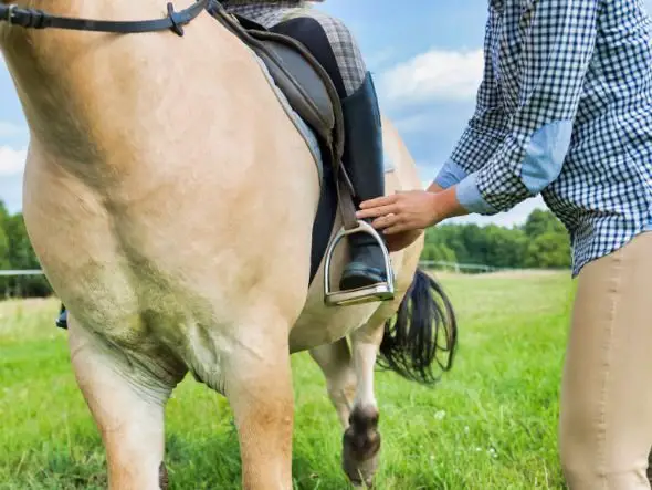 how to get the right length for stirrups