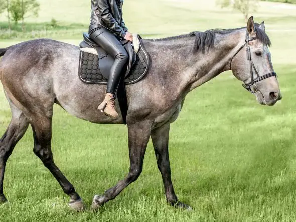 foot placement in the stirrups a guide