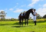 woman standing beside horse