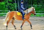 rider with balanced riding seat