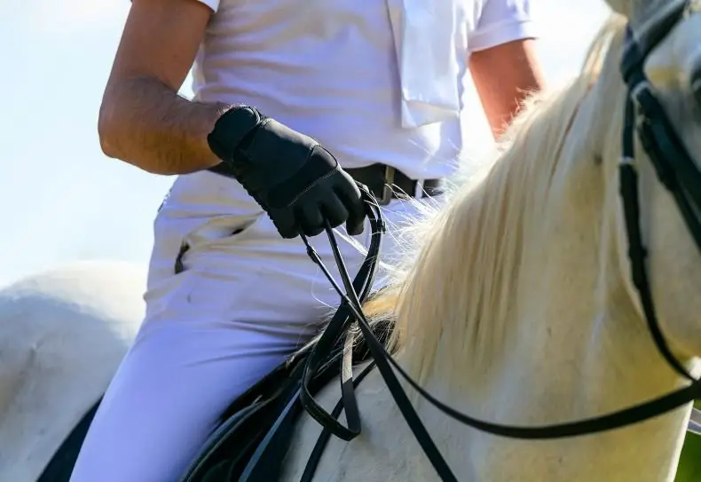 rider needing to shorten their reins