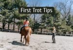 Tips For First Time Trotting