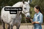 What a Horse's Nibble Really Means