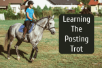 Learning the Rising Trot – First Steps to Posting with Balance and Rhythm